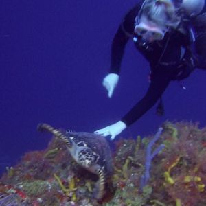 Meet your Posher, Charlene